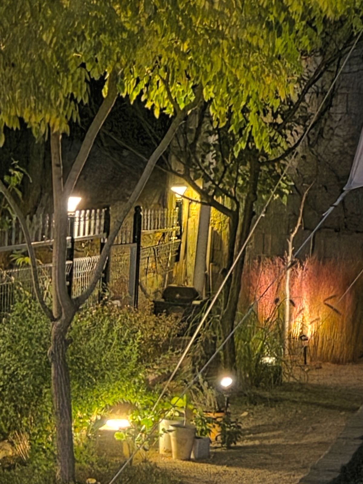 조명이 켜진 밤의 정원 산책길